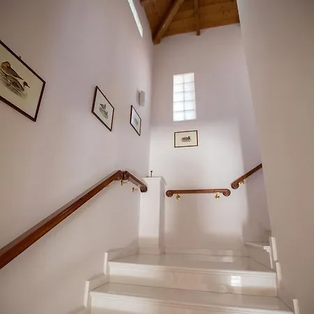 Niobe Luxury * 路特奇