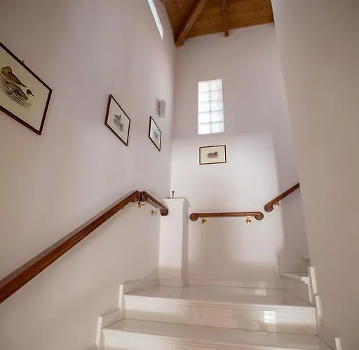 Niobe Luxury * 路特奇